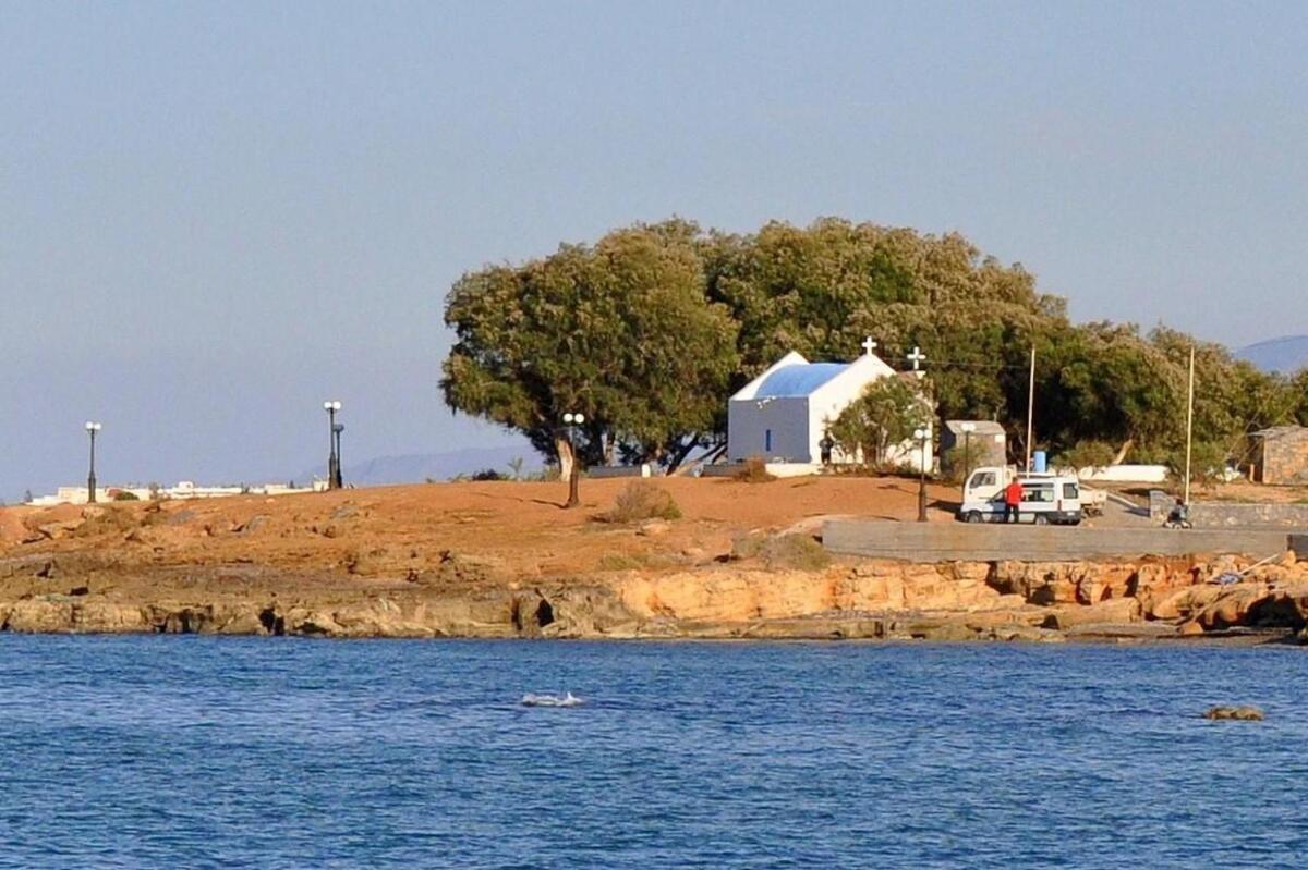 Villa Thalia Gouves Bagian luar foto